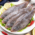 Whole flat sole fish on a light neutral surface